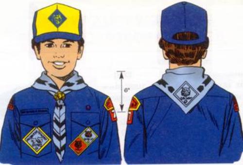 Boy scout uniform community strip hailey
