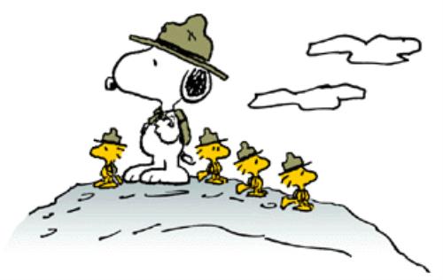 Snoopy Scouts