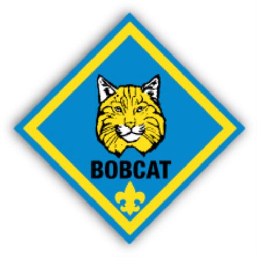 bobcat scout clipart