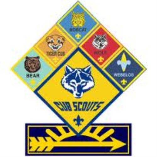 Cub Scout Rank Patches