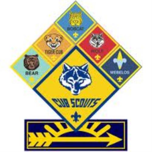 Cub Scout Rank Patches