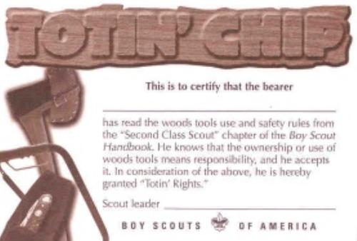 boy scouts safety afloat